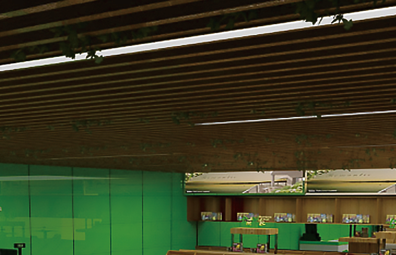LG05BN LED Batten ajuste