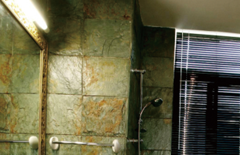 LG05Q LED Batten ajuste