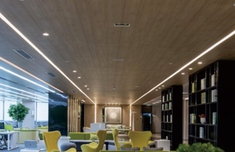 LG05V Multi-Size de alto brilho LED Batten ajuste
