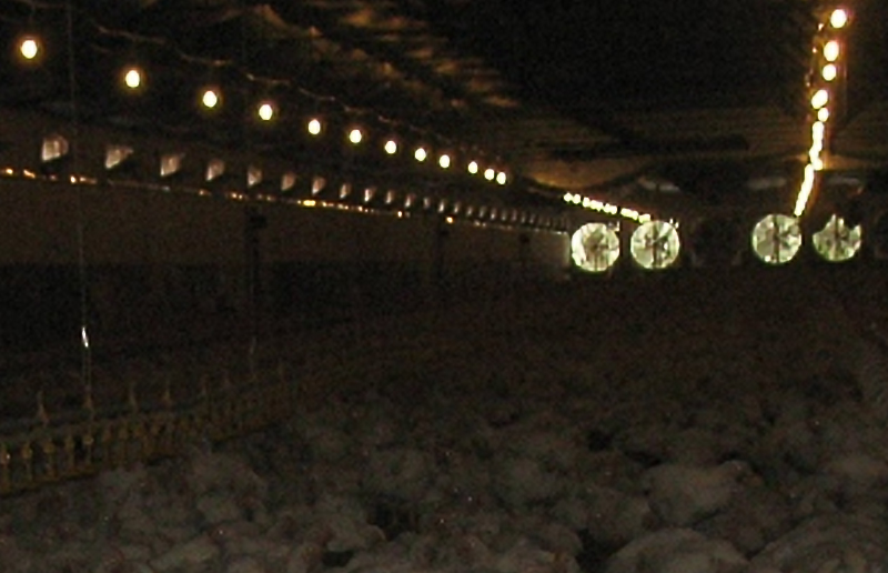 Light LED LED LG08K